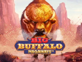 game logo by Skywind Group on vegasinocasinoca.com