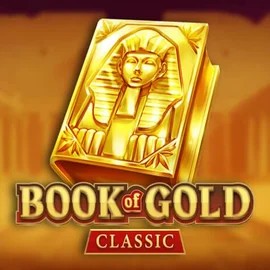 game logo by Playson on vegasinocasinoca.com