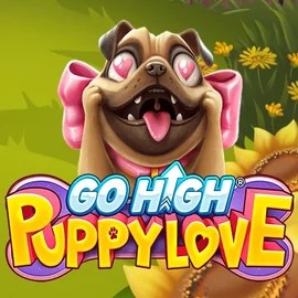 game logo by RubyPlay on vegasinocasinoca.com
